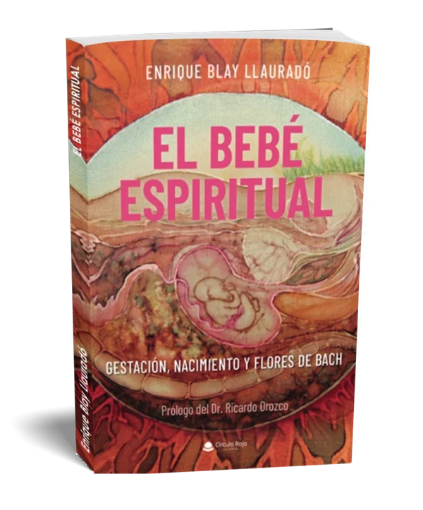 Libro El bebé espiritual (Enrique Blay)